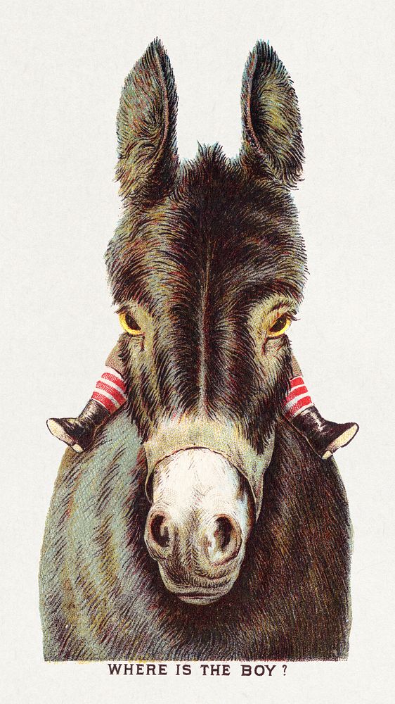 Where's the boy? Here I am. Perfect coffees (1870–1900) vintage donkey illustration. Original public domain image from…