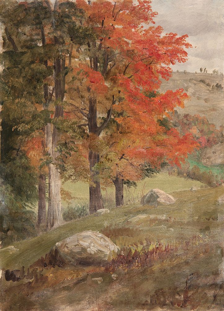 Woods in Autumn (1865) vintage nature illustration by Frederic Edwin Church. Original public domain image from The…