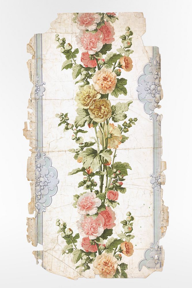 Sidewall (1899) vintage flower illustration. Original public domain image from The Smithsonian Institution. Digitally…