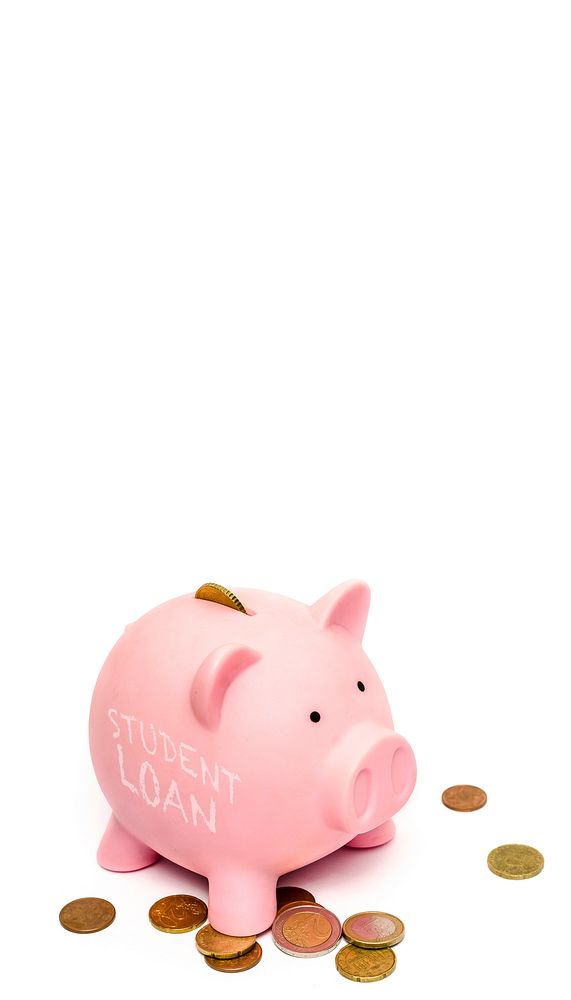 Student loan iPhone wallpaper, piggy bank border