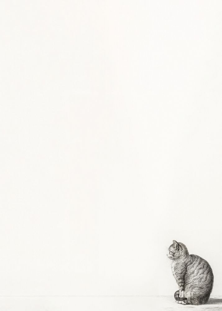 Vintage cat border background