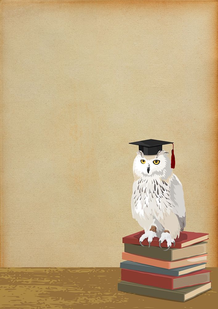 Graduation owl background, education image