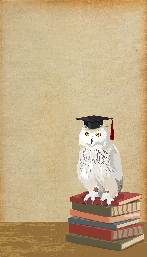 Graduation owl iPhone wallpaper, education image