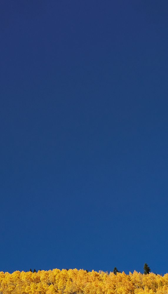 Autumn meadow border iPhone wallpaper, blue sky image