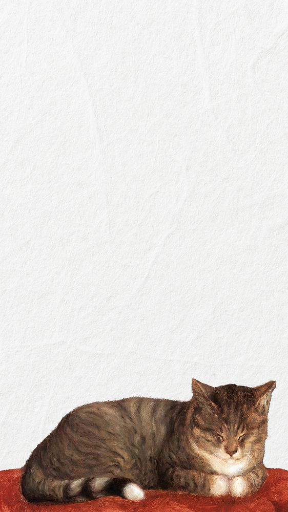 Sleeping cat border iPhone wallpaper