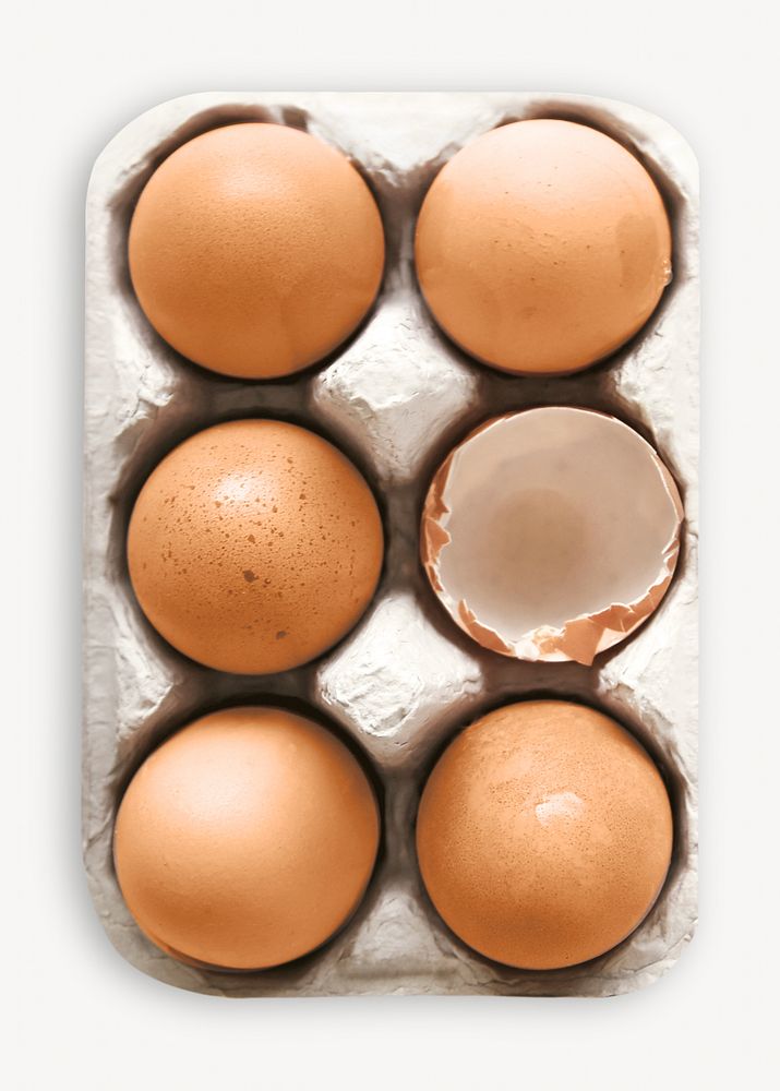 Fresh organic eggs isolated object