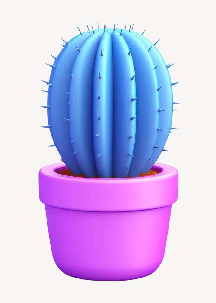 Cactus plant houseplant flowerpot. 