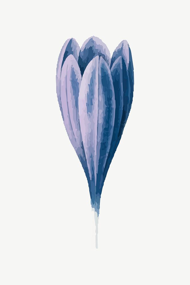Vintage crocus, blue flower illustration psd