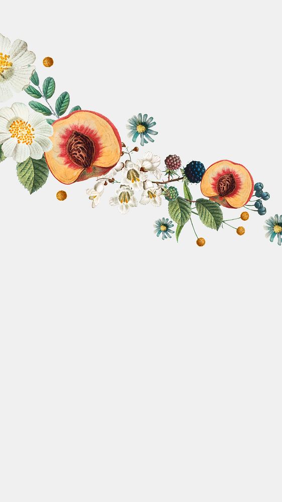 Flower peaches border iPhone wallpaper