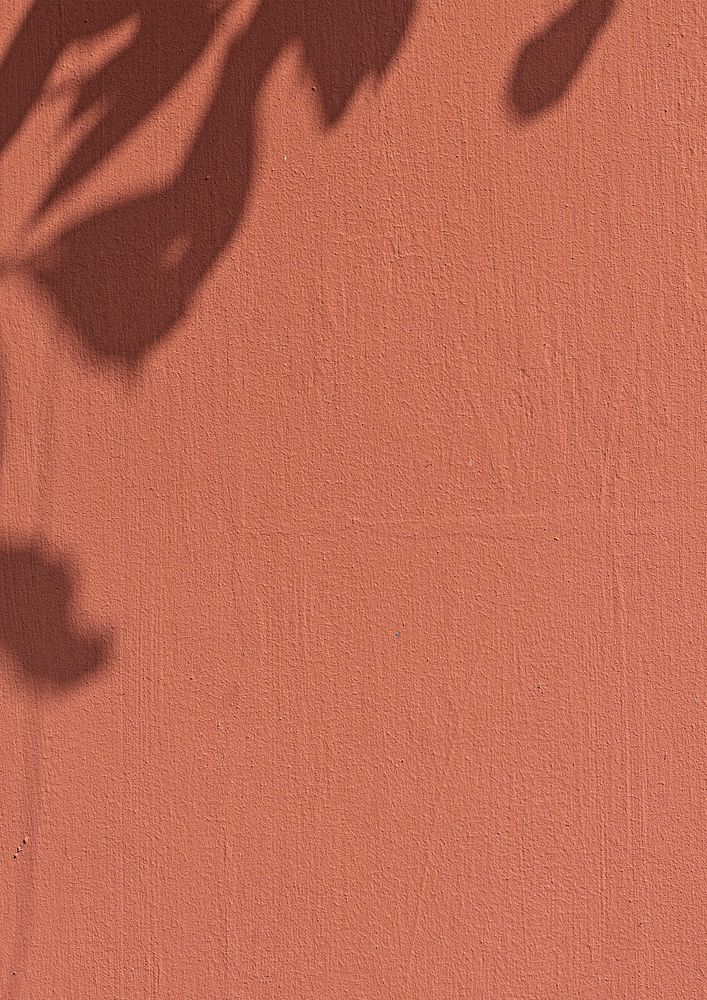 Red wall textured background, leaf shadow border