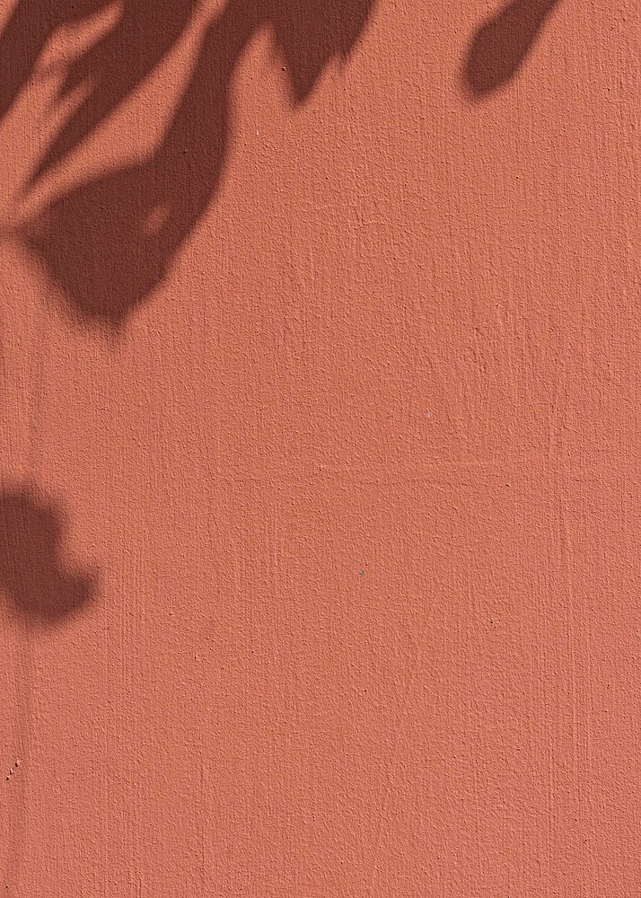 Red wall textured background, leaf shadow border