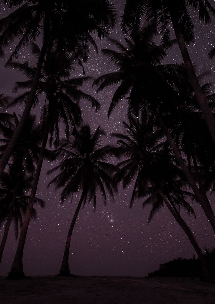 Palm trees at night background design