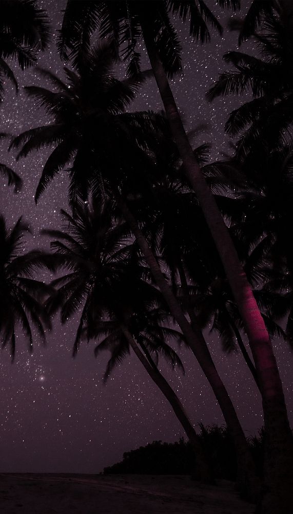 Palm trees at night iPhone wallpaper background