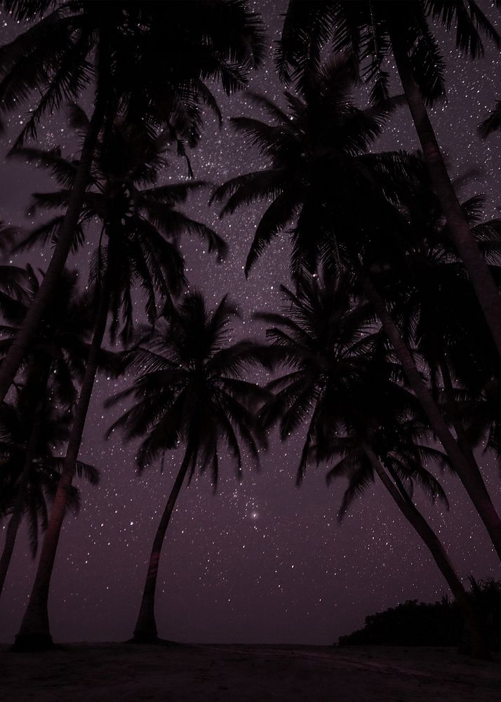 Palm trees at night background design