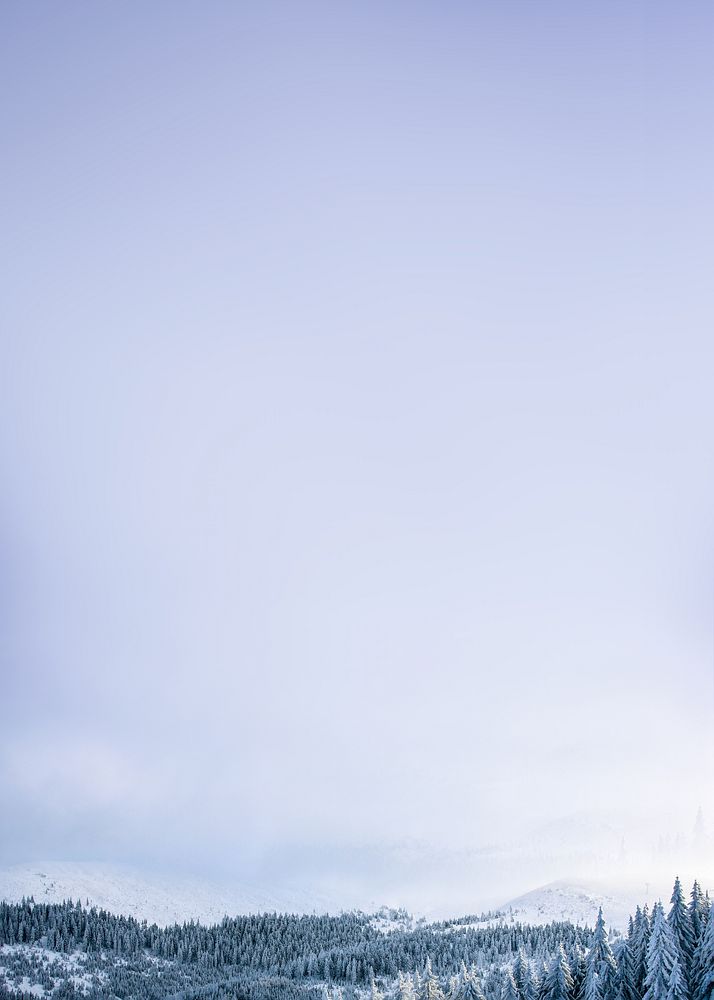 Winter forest sky background, nature photo