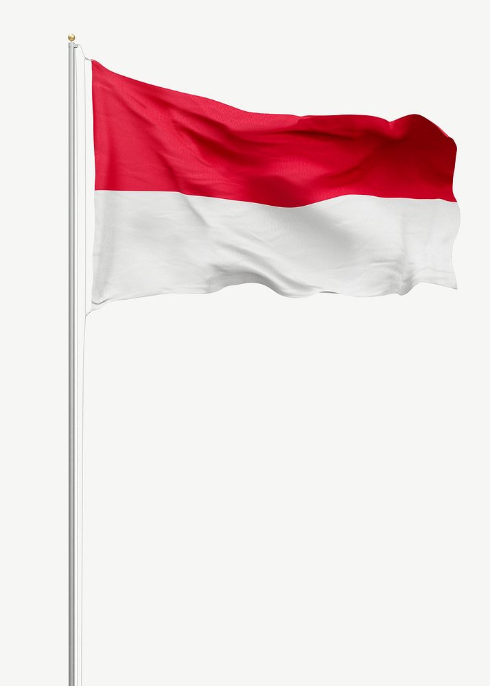 Flag of Indonesia collage element psd