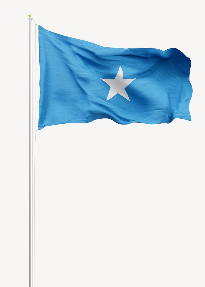 Flag of Somalia on pole