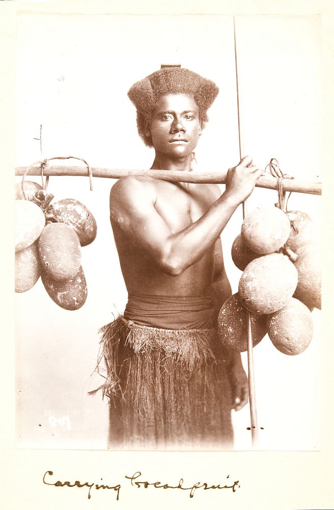 Man Carrying Breadfruit, Fiji, Suva by Thomas Andrew and John William Waters