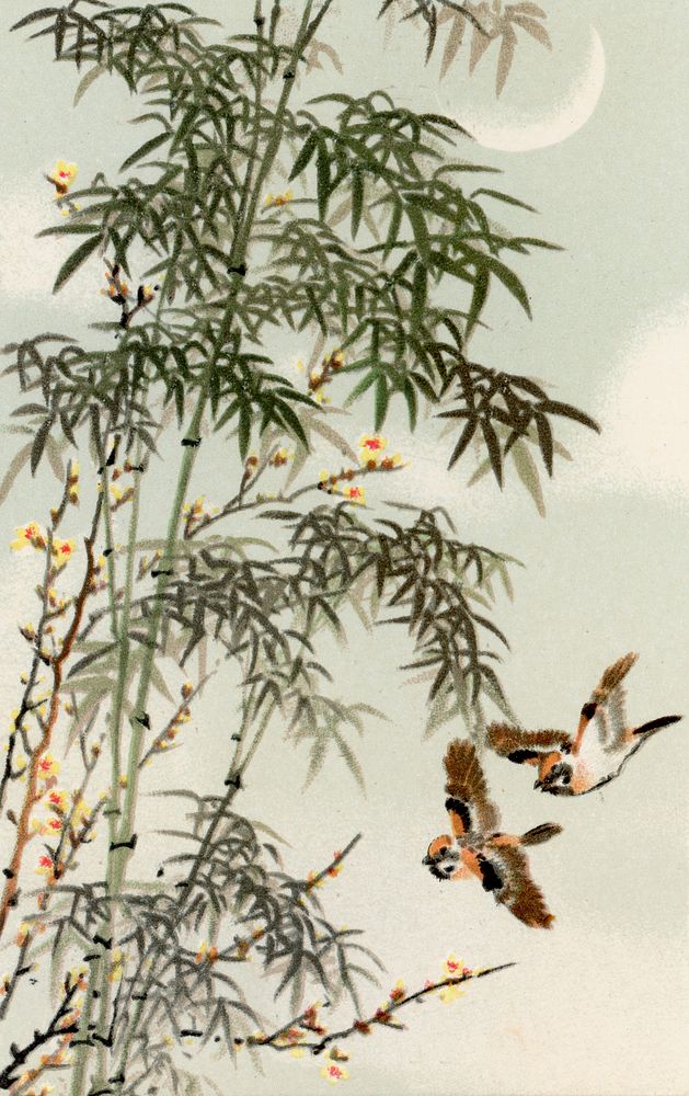 Bird perching on tree top, vintage Japanese animal painting by G.A. Audsley-Japanese illustration. Public domain image from…