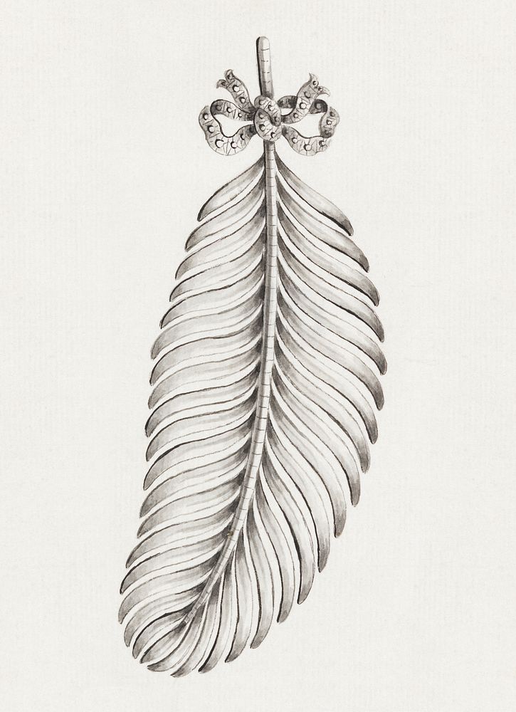 Design for a Brooch in Shape of a Feather (late 18th century) drawing. Original public domain image from The Smithsonian…