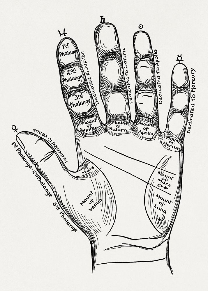 Perin's science of palmistry; a complete and authentic treatise (1902) vintage icon by Carl Louis Perin. Original public…
