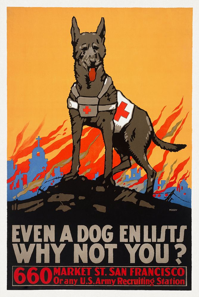 A military recruitment poster reading "Even a dog enlists, why not you?" for World War I (1914-1916) chromolithograph by…