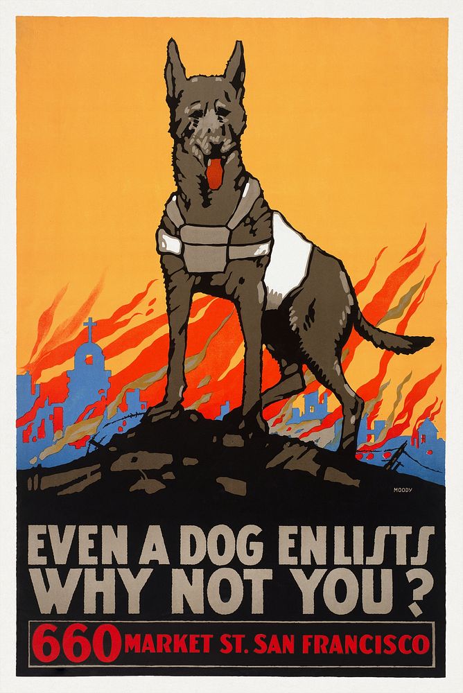 A military recruitment poster reading "Even a dog enlists, why not you?" for World War I (1914-1916) chromolithograph by…