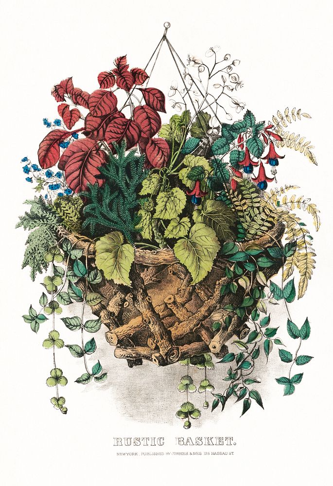 Rustic basket (1856), vintage flower illustration by Currier & Ives. Original public domain image from the Library of…