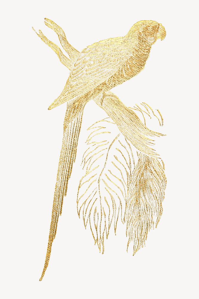Gold parrot vintage bird illustration. Remixed by rawpixel.