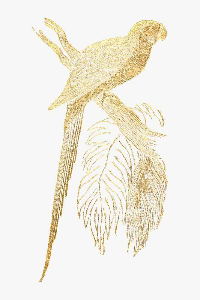 Gold parrot, vintage bird illustration psd. Remixed by rawpixel.