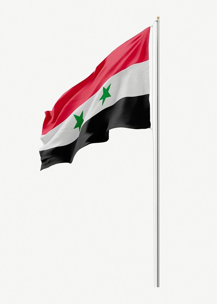 Flag of Syria collage element psd