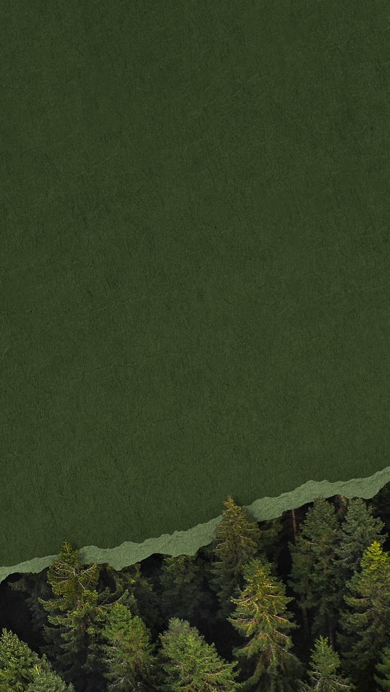Ripped green paper iPhone wallpaper, pine forest border