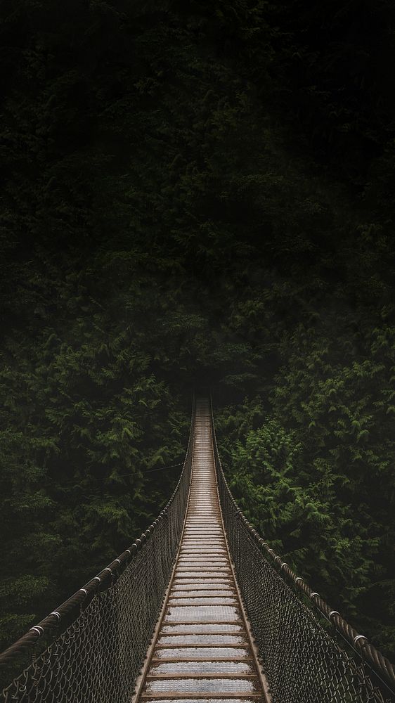 Forest hanging bridge iPhone wallpaper, nature travel image