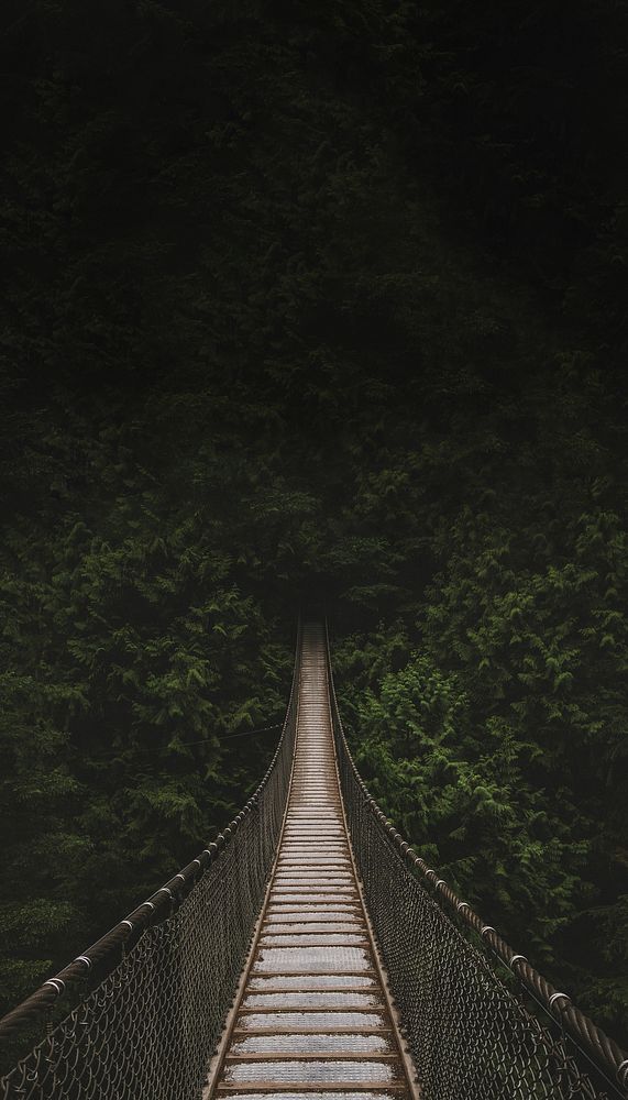 Forest hanging bridge iPhone wallpaper, nature travel image