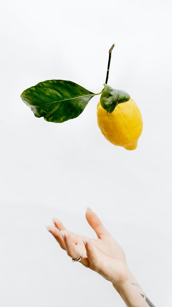 Lemon fruit iPhone wallpaper, food image