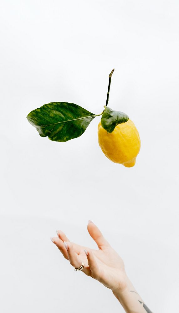 Lemon fruit iPhone wallpaper, food image
