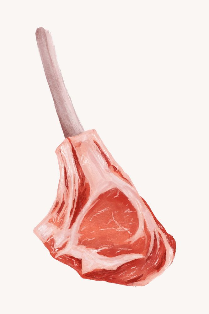 Raw lamb steak, butchery food illustration