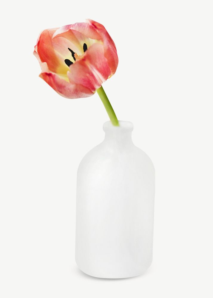 Flower vas tulip collage element psd