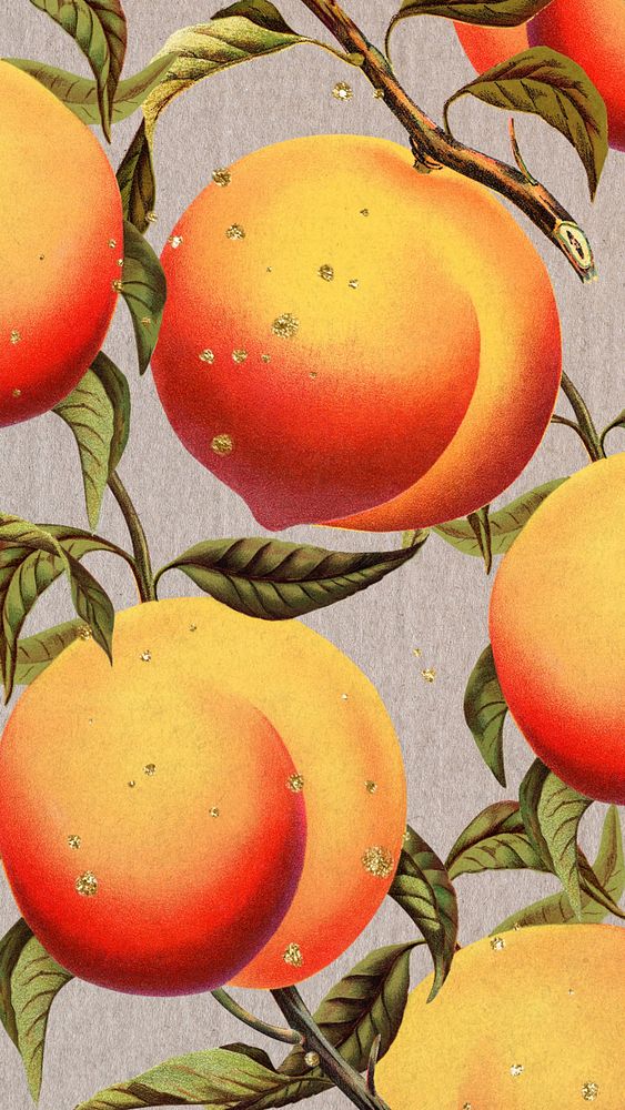 Apricot and leaves iPhone wallpaper | Free Photo - rawpixel