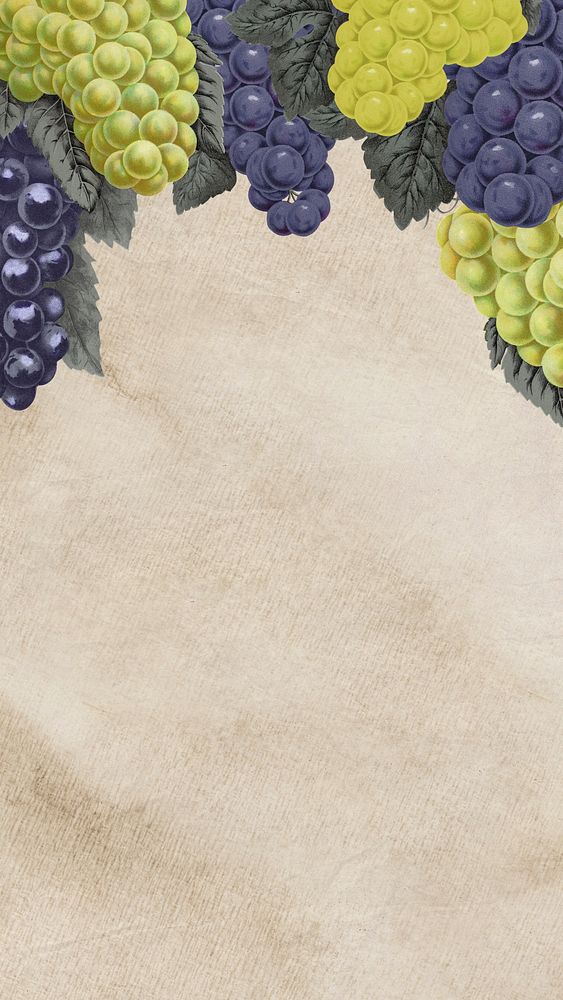Grape leaves border, iPhone wallpaper