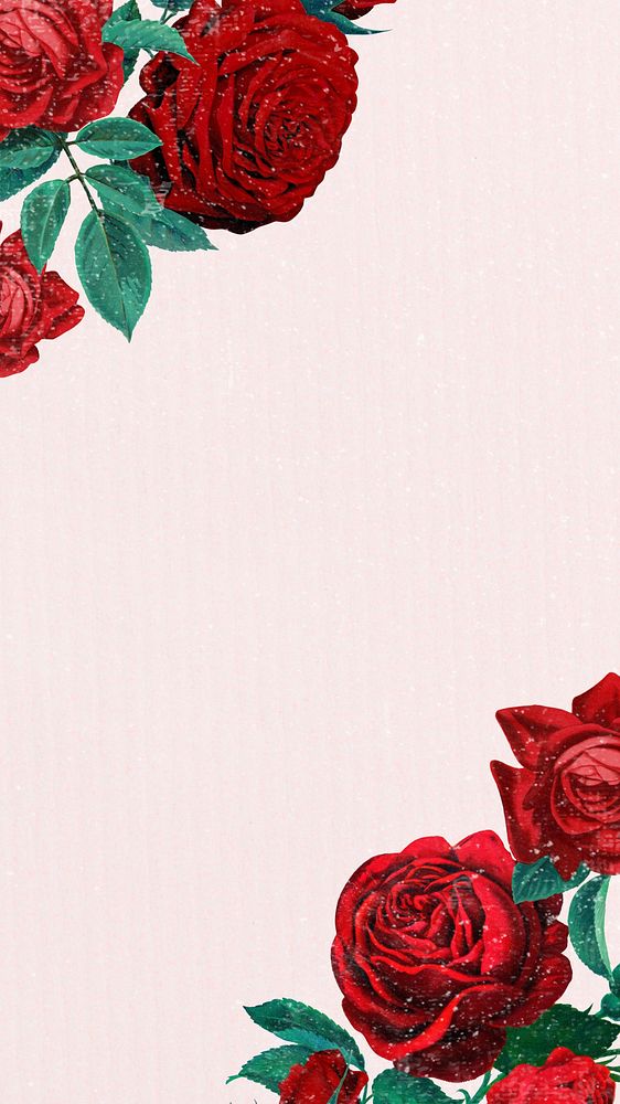 Red rose border, iPhone wallpaper