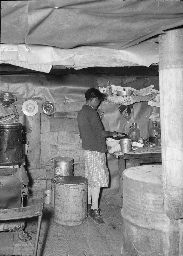 Mrs. Hunter in "kitchen end" of log shack. Southeast Missouri. Sourced from the Library of Congress.