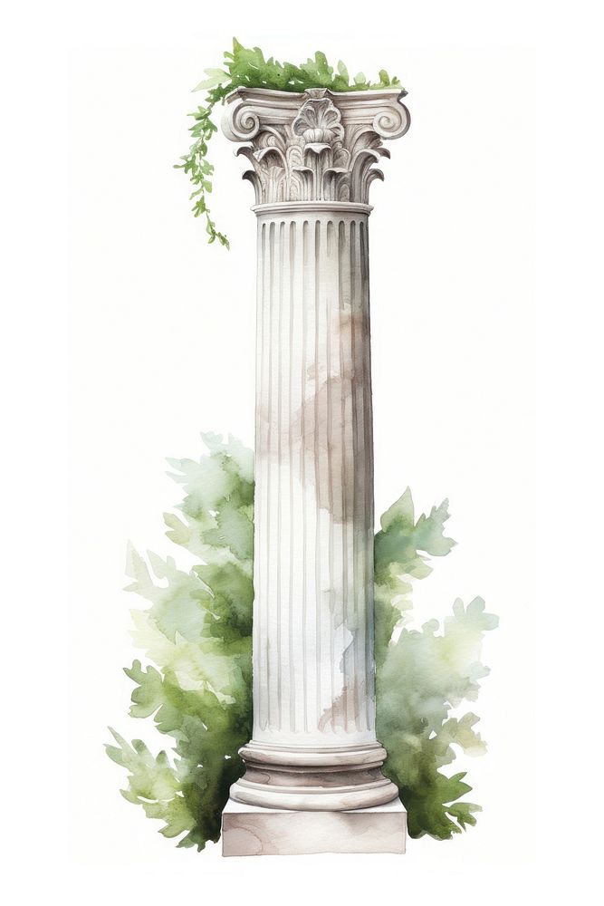 Architecture column pillar plant.