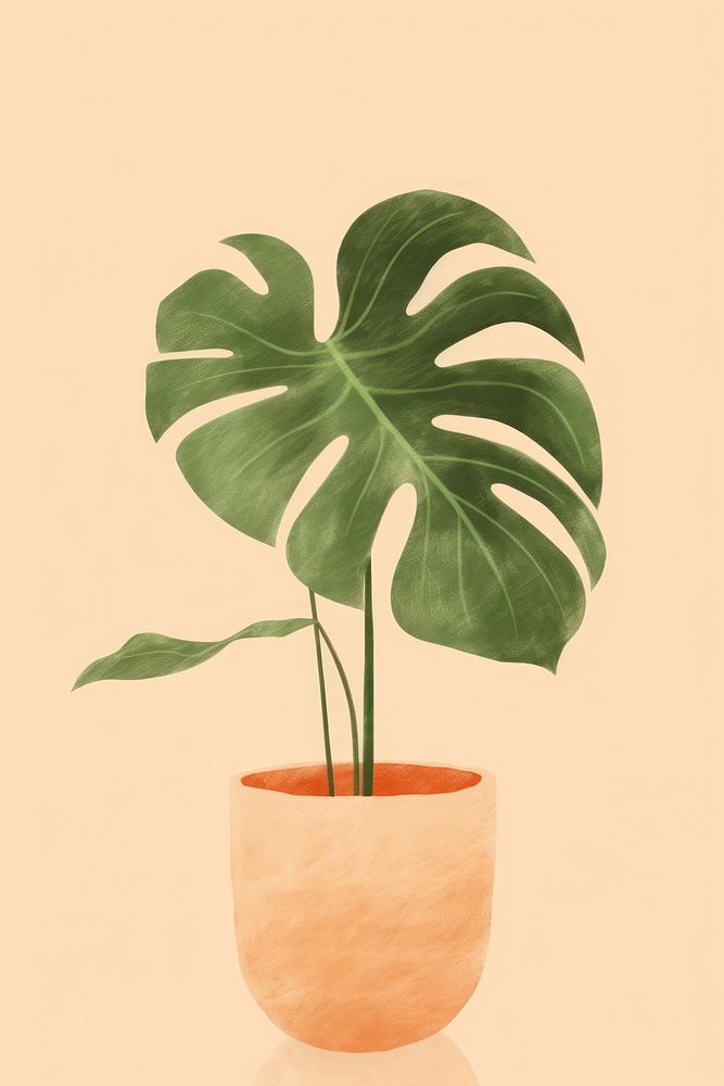 Plant houseplant leaf flowerpot. 