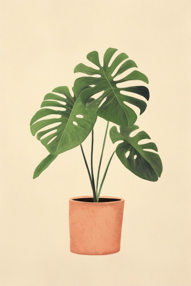Plant houseplant leaf flowerpot. AI generated Image by rawpixel.