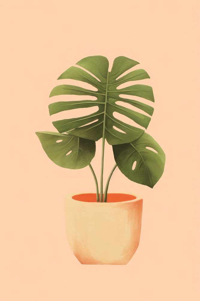 Plant houseplant leaf flowerpot. 