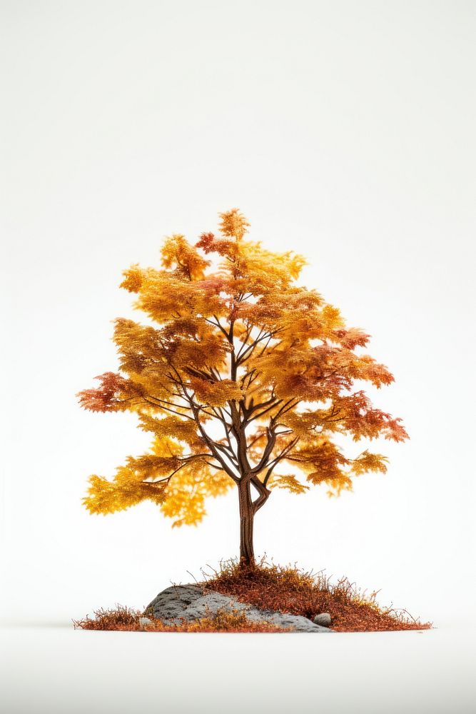 Tree autumn plant maple. AI generated Image by rawpixel.