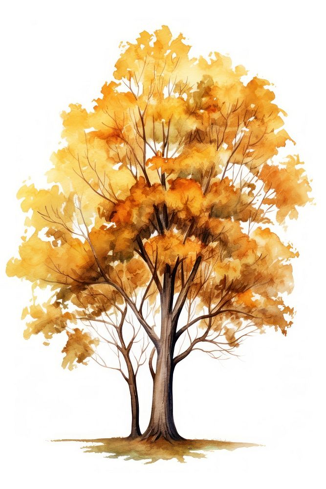 Tree drawing autumn sketch. AI generated Image by rawpixel.