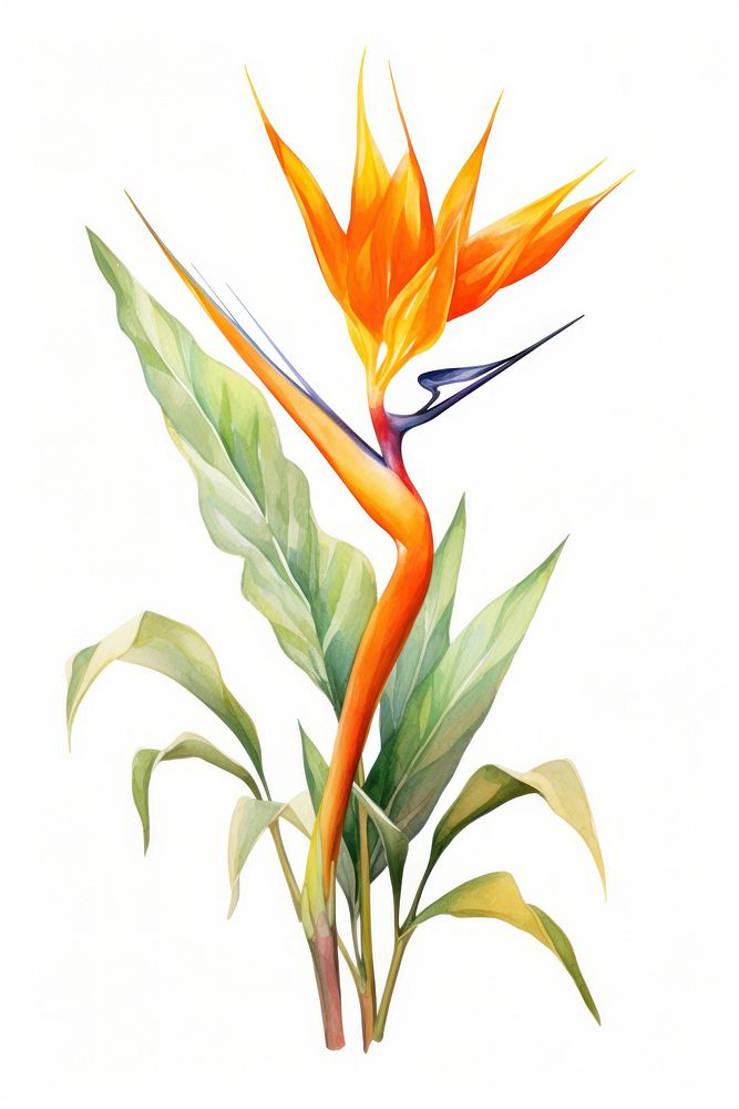 Plant flower leaf bird. AI generated Image by rawpixel.