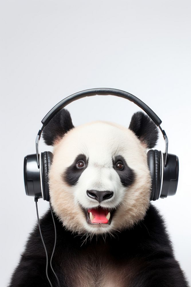 Headphones portrait headset mammal | Free Photo - rawpixel